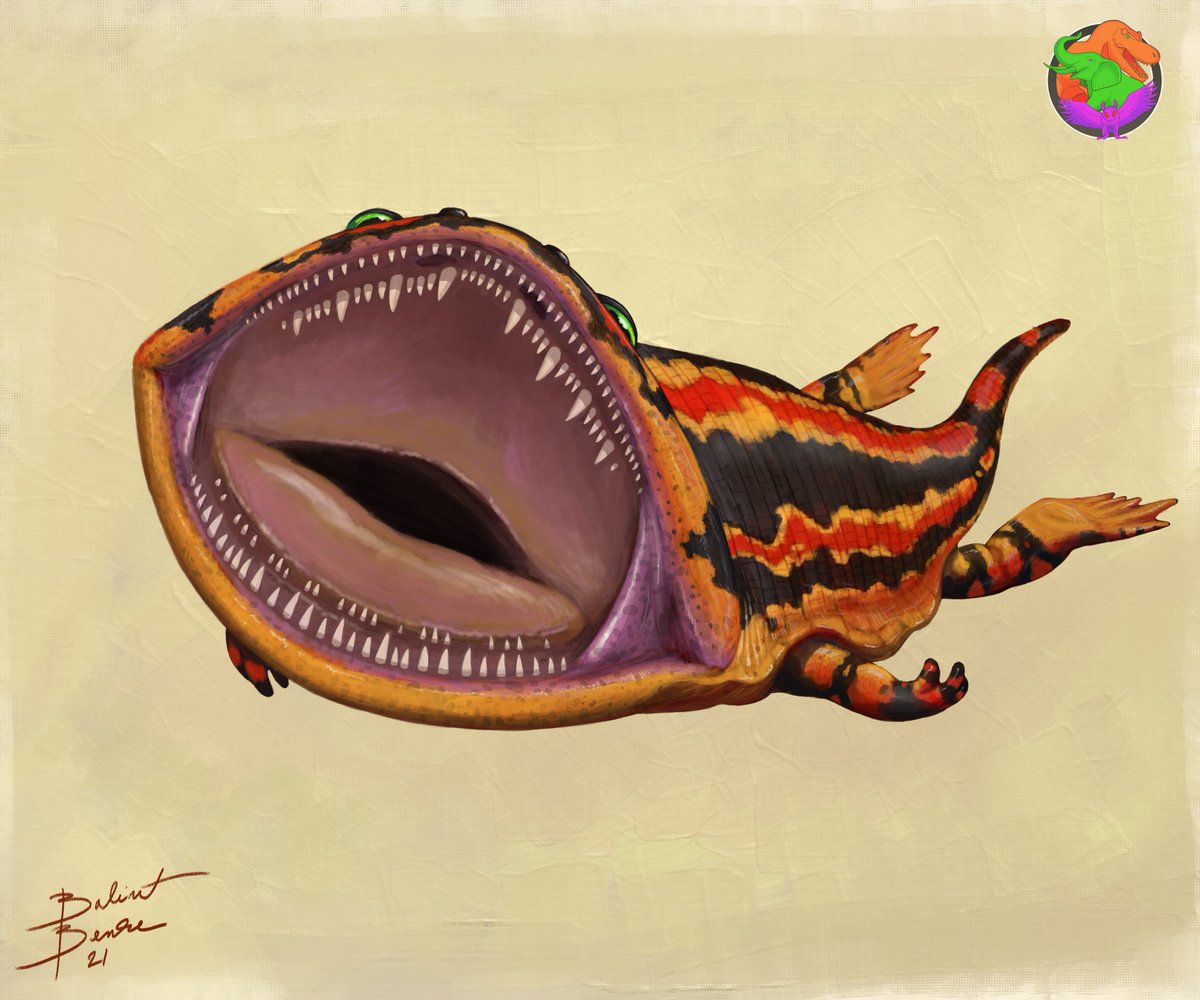 BenkeArt's tweet photo. Gerrothorax
Commissioned by @NatSciChannel 
Back in 2021 https://t.co/r3EPhcaXA7