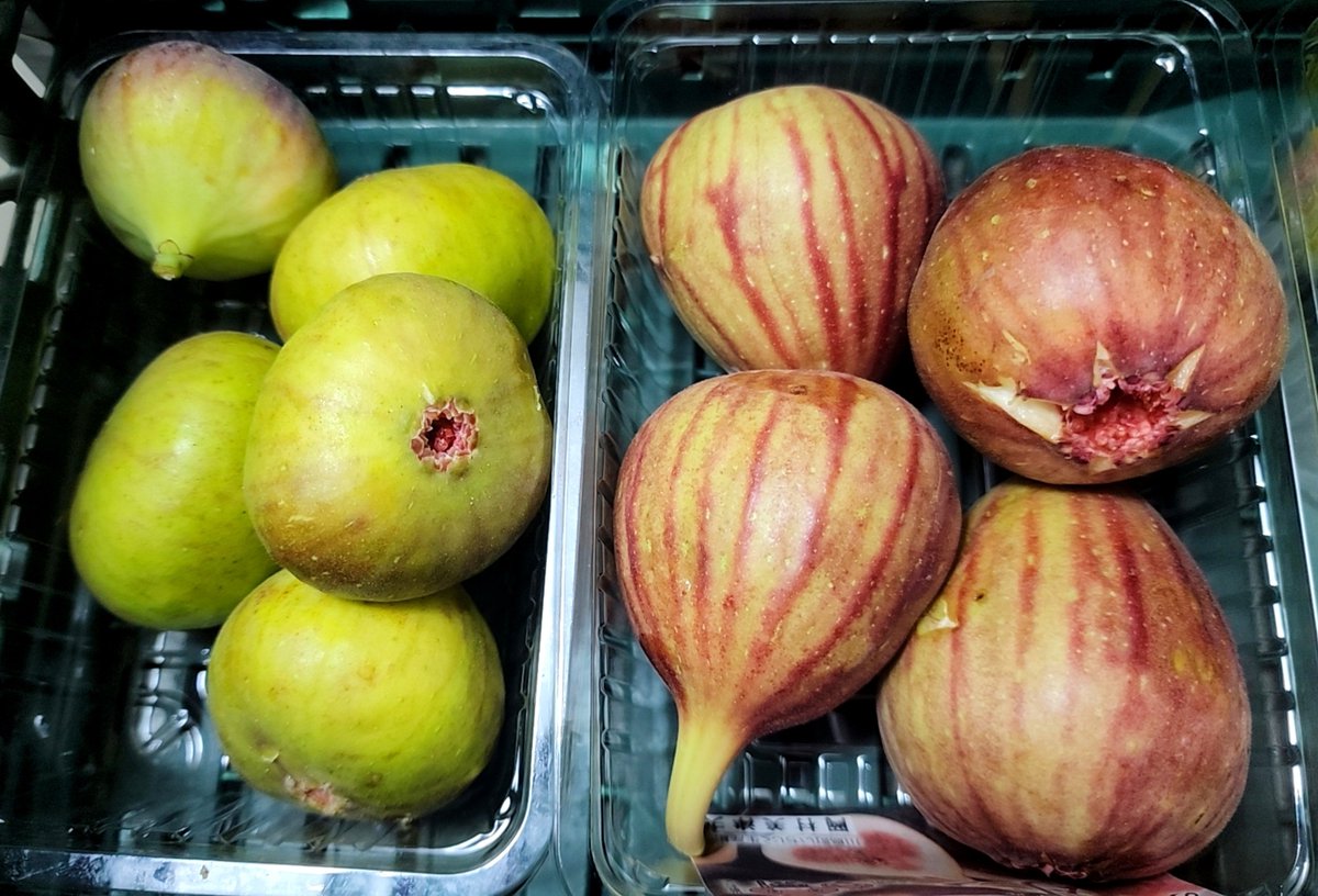 OKAMURA_Farm's tweet photo. バナーネはシャインマスカットと同じように緑がかってるのが綺麗ですが、黄色っぽくなっているのが熟しているので、黄色っぽいのを選びましょう❗
そして、冷凍庫が足りないので急遽200Lのを手配しました。これで、600L目です❗
#岡村農園
#いちじく
#バナーネ https://t.co/CovmqvHxbT