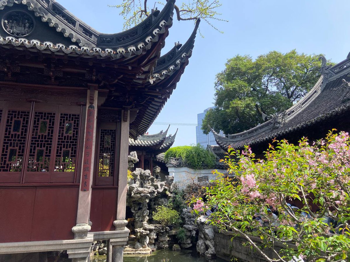 ari28maks's tweet photo. I miss Shanghai https://t.co/Aa3TiXKH2d