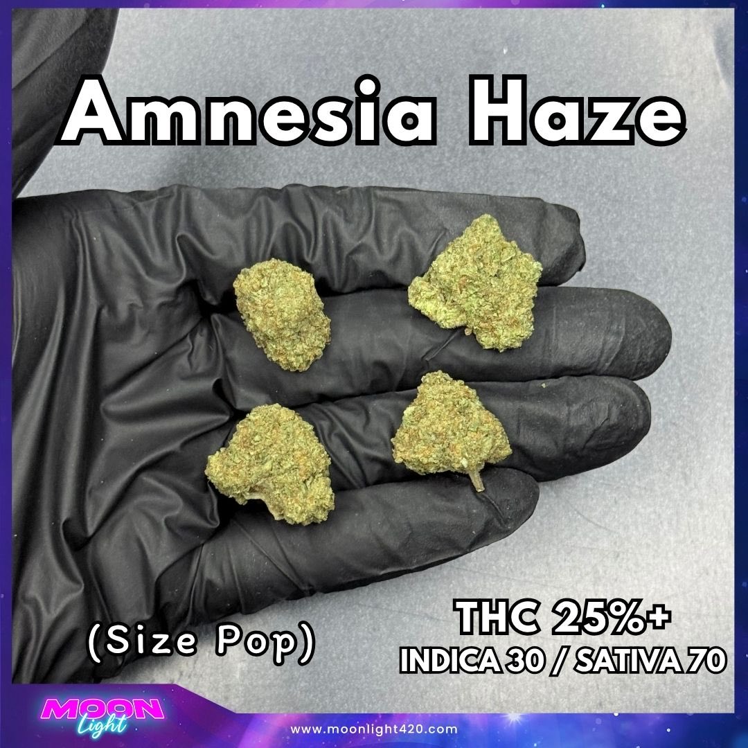 moonlight_thai's tweet photo. Amnesia Haze 🔥

10g  = 200 

เมนูhttps://t.co/pXBWXq2gab

#กัญชากรุงเทพ #กัญชาลาดพร้าว #กัญชาชลบุรี #กัญชารัชดา #กัญชารามคำแหง #กัญชาขอนแก่น #กัญชาเชียงใหม่ #กัญชานนทบุรี #กัญชาโคราช #กัญชาสระบุรี #กัญชาสระแก้ว #กัญชาเชียงราย #กัญชามีนบุรี #กัญชารังสิต #ใบทริม #กัญชาภูเก็ต https://t.co/mkXX4VW2aE