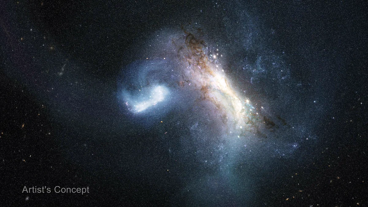 About 12 billion years ago, a dwarf galaxy known as LKH collided with a young Milky Way and merged with it. This artist’s concept portrays that collision. NASA’s Hubble Space Telescope uncovered definitive evidence of this collision by studying globular star clusters.
Illustration: NASA, ESA, Joseph Olmsted (STScI)