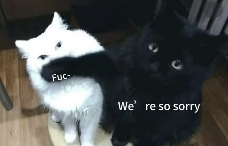 Cutecatpost's tweet photo. https://t.co/z8EOfIUOgm