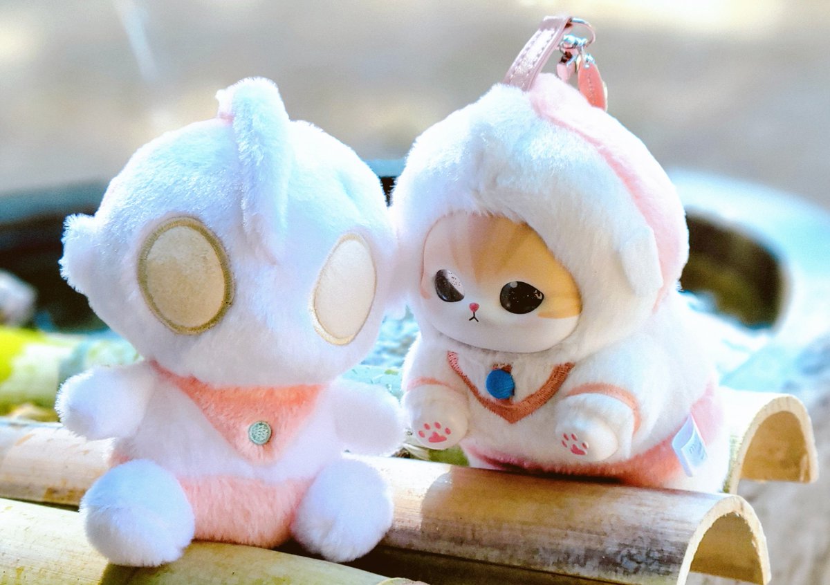 Albatross0255's tweet photo. A new fluffy friend has arrived! ✨️

#M78ふわふわが集まるタグ
#ふわふわといっしょ https://t.co/yPU00JRvMA