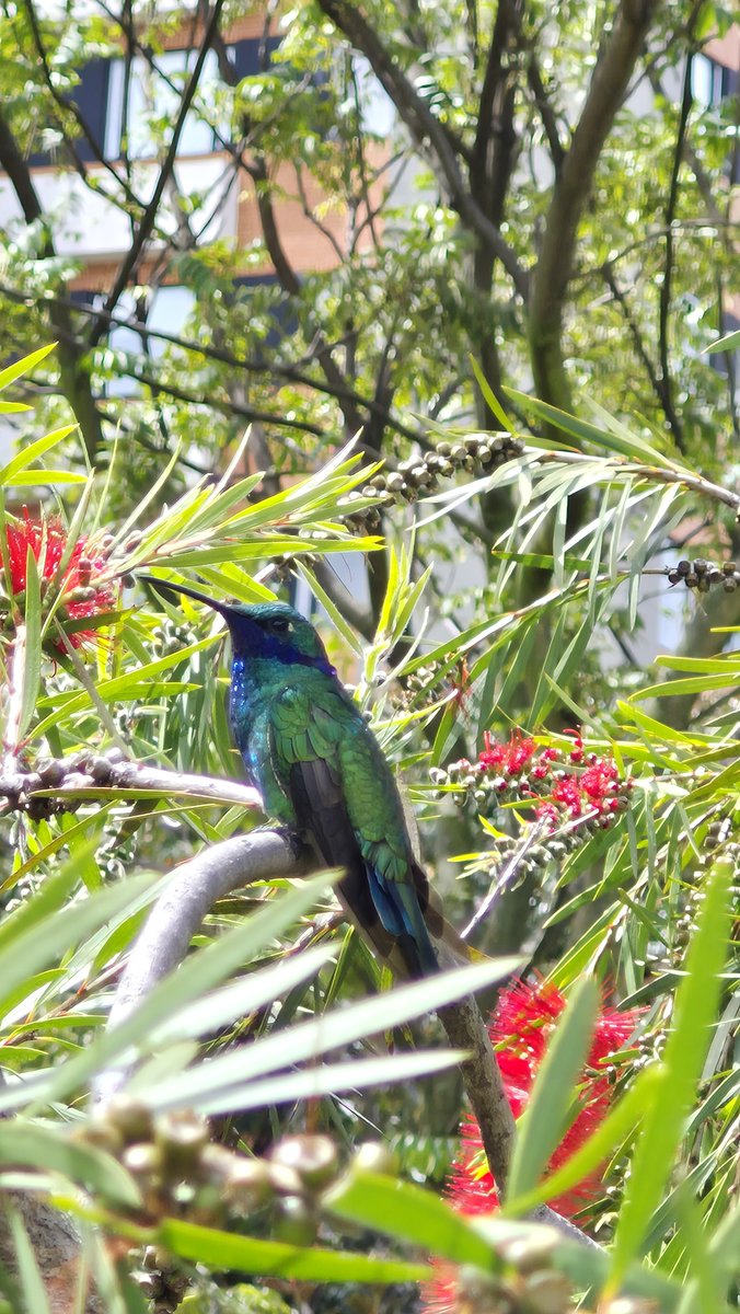 davidmoralesfl1's tweet photo. Caption
.
.
#Colombia
#photography #androidphotography
#amazing #caption_photopebogotagrafia https://t.co/Ls9t04tHoc