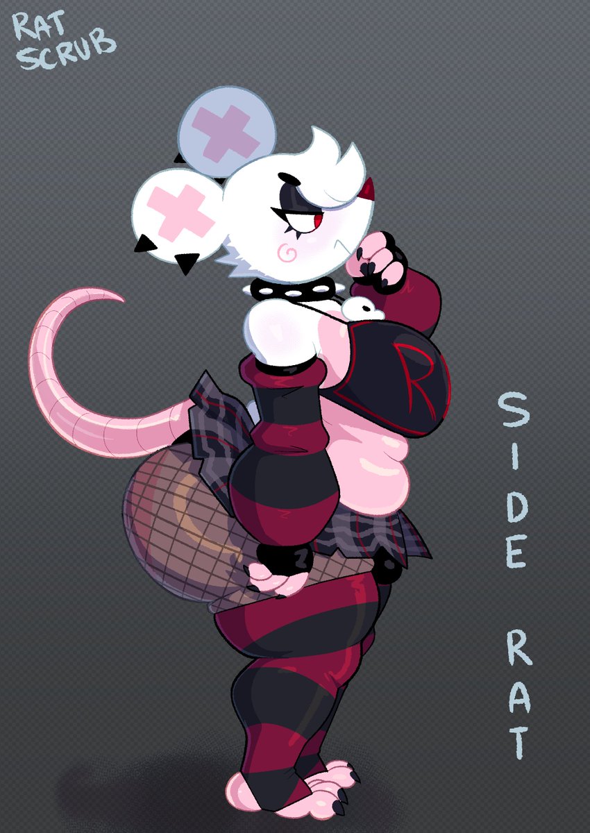 its_somescrub's tweet photo. Side Rat https://t.co/0HtP8IwUkO