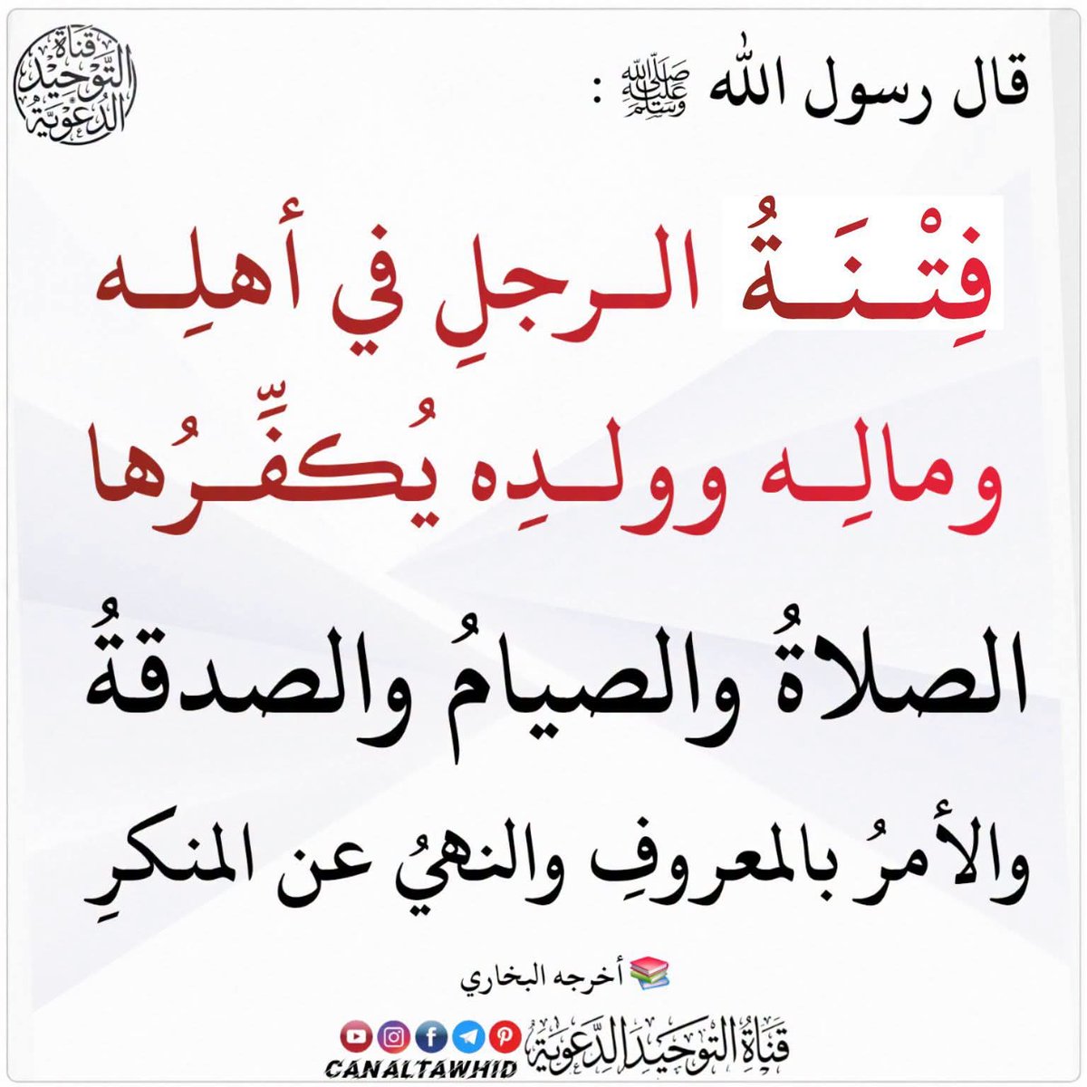 GrinatAdel's tweet photo. https://t.co/dS5TpXQRrF