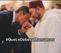 Serpalitonia's tweet photo. @RaulGallart80 https://t.co/ljArzQqBmC