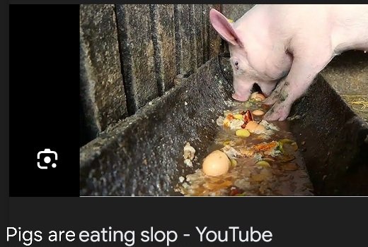 W1ZF0L's tweet photo. @DiscussingFilm Half a billion pigs pre-ordered their digital slop. And when they don't like the taste in the future, they'll blame everyone but themselves. https://t.co/ebSHfry3jS