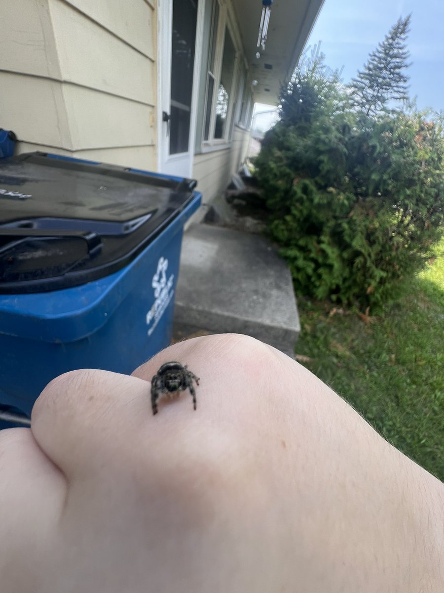 mythryxexe's tweet photo. “Myth, why are you a #vcvnt?”

Judge, I would like you to share this as evidence. I like spiders and snakes and people think it’s weird and unnatural. https://t.co/QB2TNQP6EE