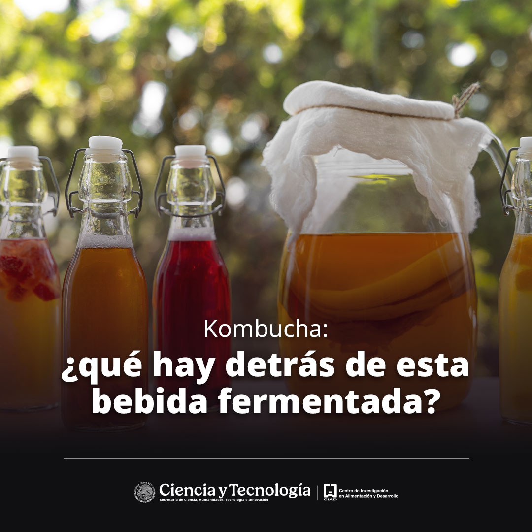 ciadmx's tweet photo. 🍹Estudios del consumo kombucha sugieren posibles efectos antioxidantes y cambios favorables en la respuesta de glucosa y la microbiota intestinal; sin embargo, la evidencia especialistas subrayan la importancia de una elaboración higiénica y controlada
https://t.co/MCeStM3Ay9 https://t.co/mWBWAs2959