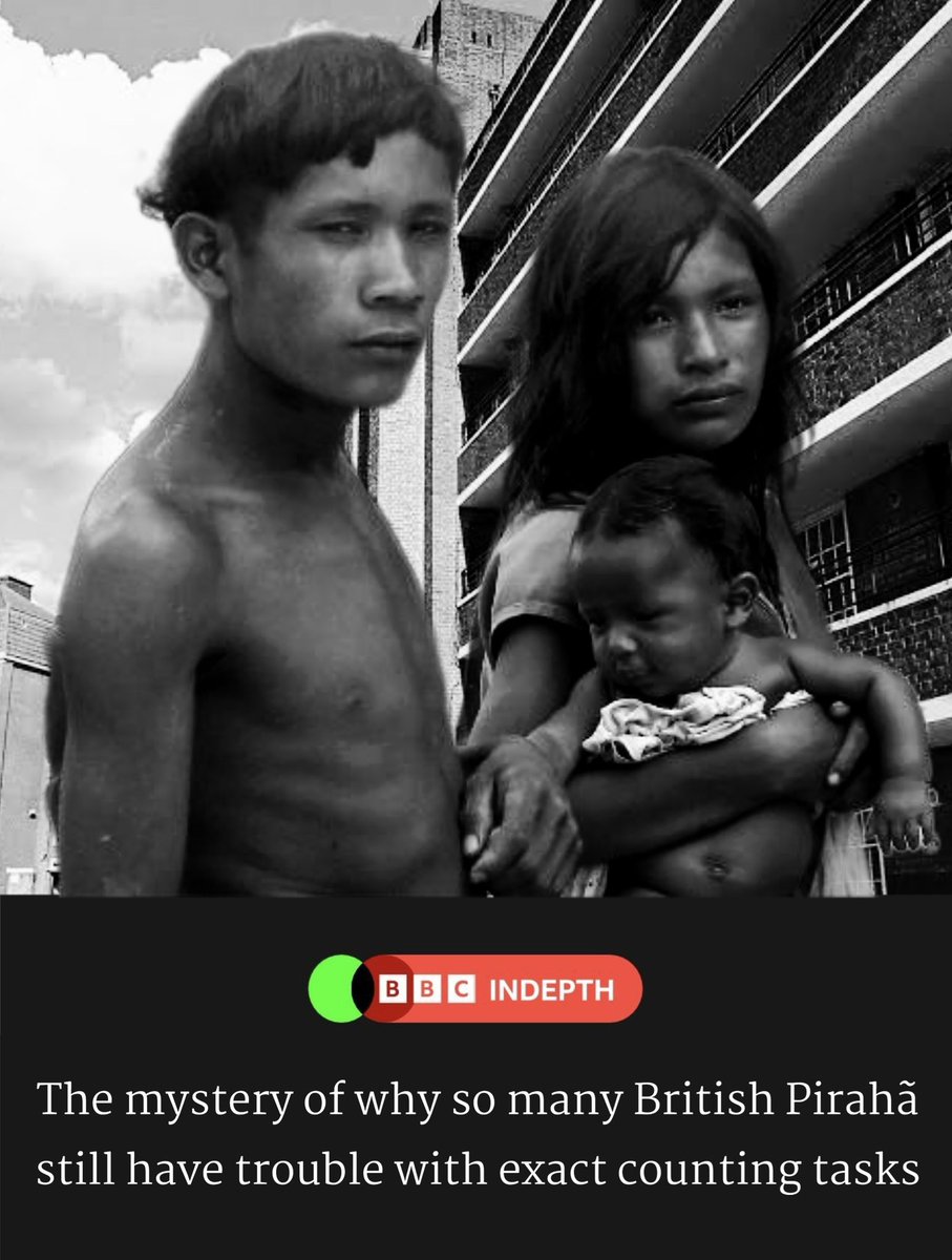 kunley_drukpa's tweet photo. REPORT: Many British Pirahã are unable to count beyond the number 3 and are incapable of distinguishing any quantity beyond that with descriptors that are not either “small amount” or “large amount”. Nobody knows why https://t.co/1V7fyR2stA