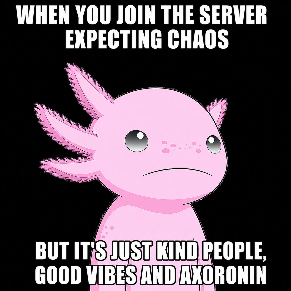 AxoRoninNFT's tweet photo. https://t.co/GjYN5IoZGt