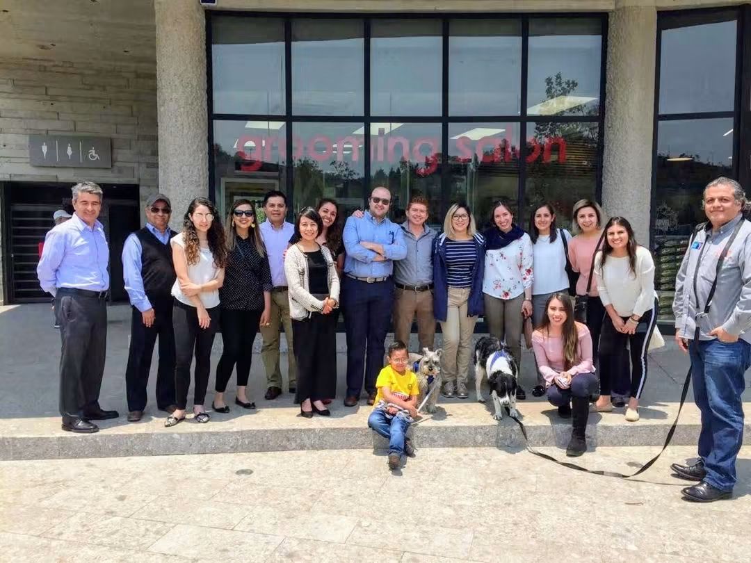 conganasdevivir's tweet photo. Sobreviviente al cáncer, mostro su férrea voluntad hasta su último momento, dejándonos a los 16 años y 17 días. Agradecemos haber tenido la oportunidad de trabajar, vivir y disfrutar a su lado. https://t.co/8pfNmBaGHR