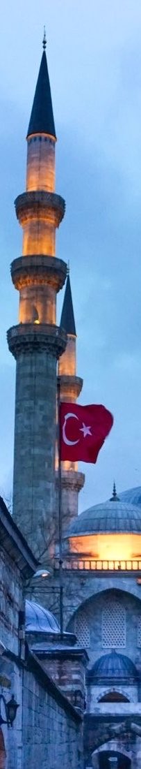 tckahvesi291's tweet photo. 🇹🇷 https://t.co/L0xfsEEuuI