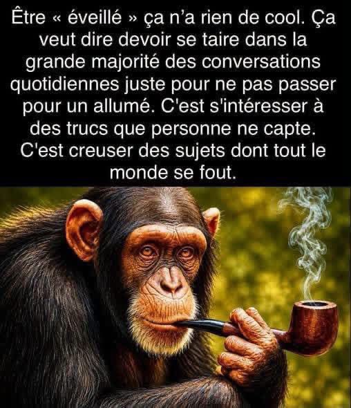 donna_197's tweet photo. En pleins ça ! 🎯 https://t.co/HkyRoMsoXV