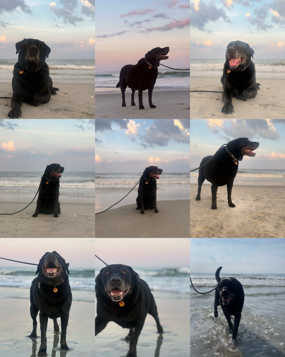 JessicaSwift130's tweet photo. Salt air🌅 🧂💨🫶 https://t.co/H47hWyX7lj