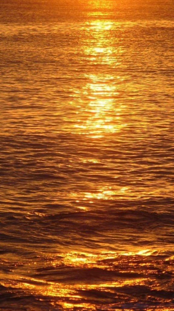 petalesblancs's tweet photo. golden hour shimmering over the sea https://t.co/Gm5meH3HNe