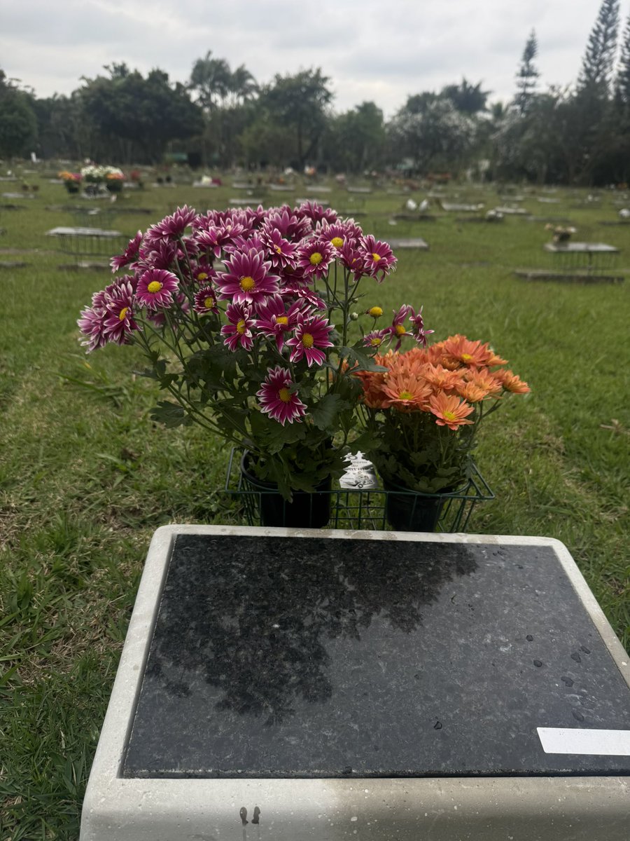 lettts_'s tweet photo. 3 meses do dia mais triste  da minha vida! Saudades do seu cheiro Claudetinha, florzinhas pra ti igual vc amava 🤍🥹🥹 https://t.co/ur0cm3qSZs