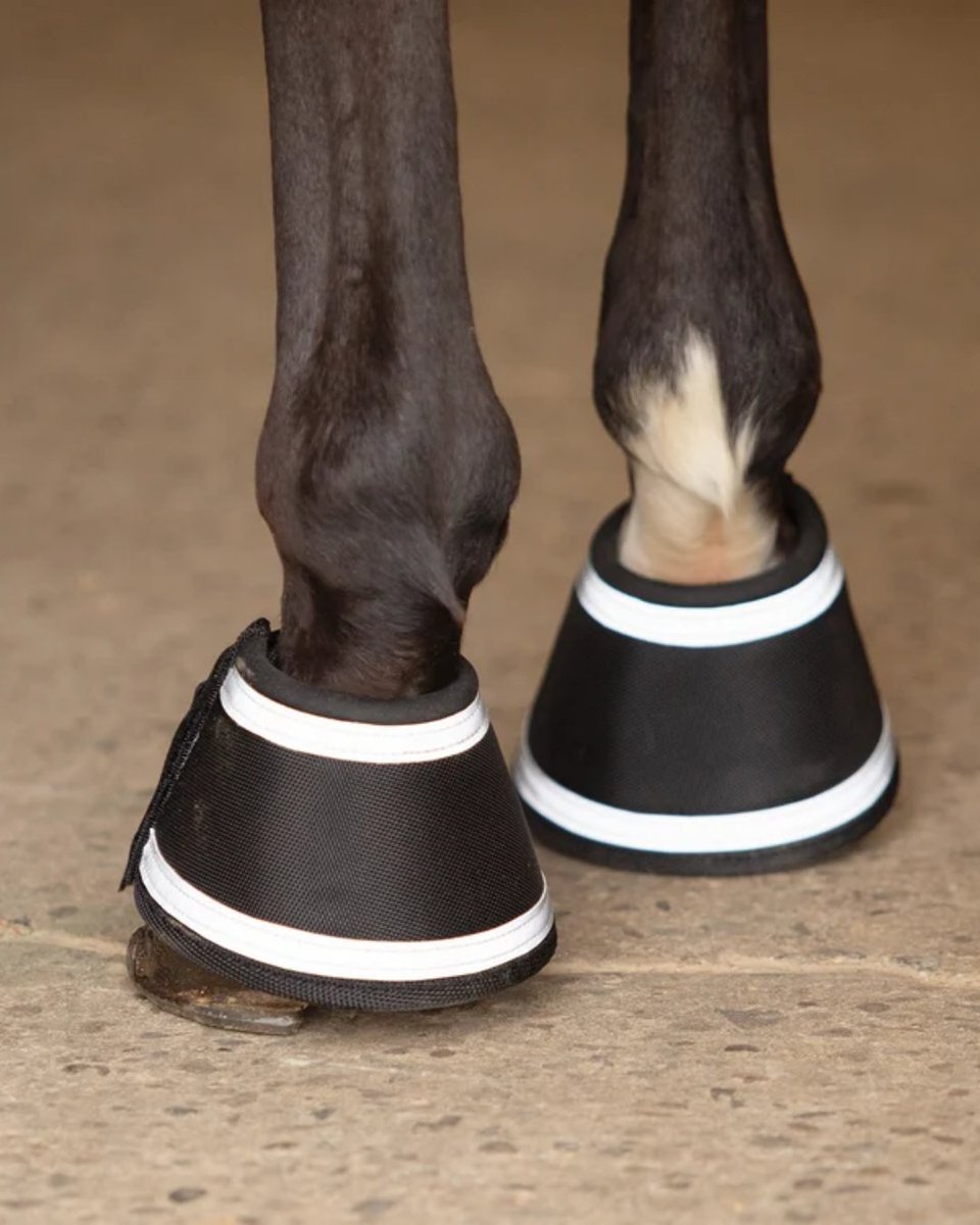 schneiders1948's tweet photo. Finally… bell boots you can actually find in the dark. 

Our NEW Reflective Ballistic Bell Boots combine everyday hoof and heel protection with reflective trim for better visibility in low-light conditions.

Perfect for turnout, training, and everyday rides. Shop the newest addition to our reflective collection! 

https://t.co/JCrChSfCIc