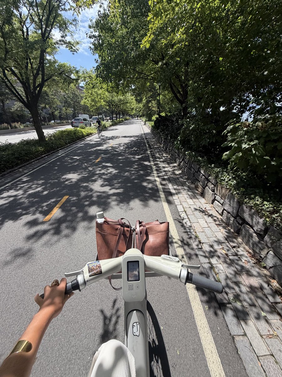 modelinnewyork's tweet photo. gm.

Citibike culture thrives in this city https://t.co/lURj5zQS9N