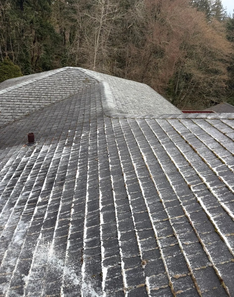 SoftwashPdx's tweet photo. Aug Hillsboro: Soft wash: low pressure + detergents for roofs/siding; pressure wash: concrete/hardscapes. Portland and surrounding areas: free quote! Guarantees: roof 24-mo, house 12-mo, gutters 30-day; 100% Satisfaction. https://t.co/1phdFUdhQs