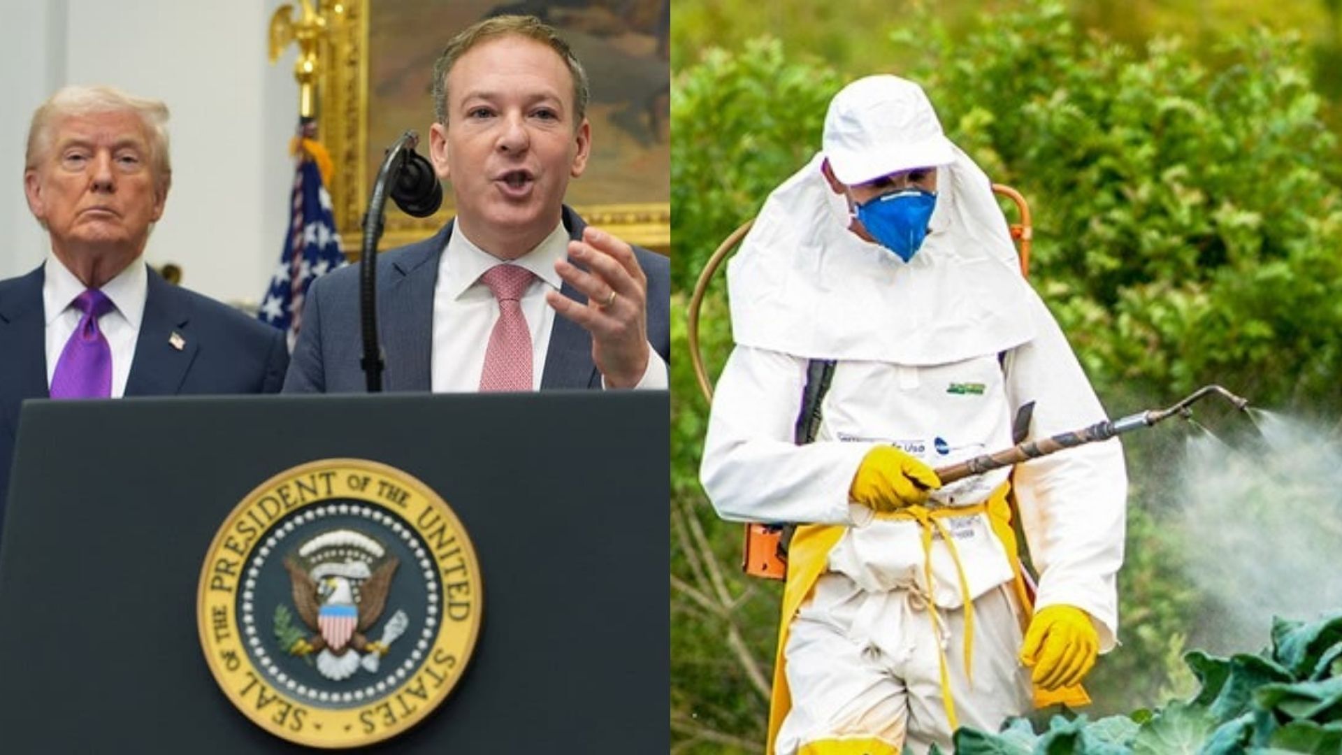 Trump EPA approval of pesticide trifludimoxazin draws lawsuit