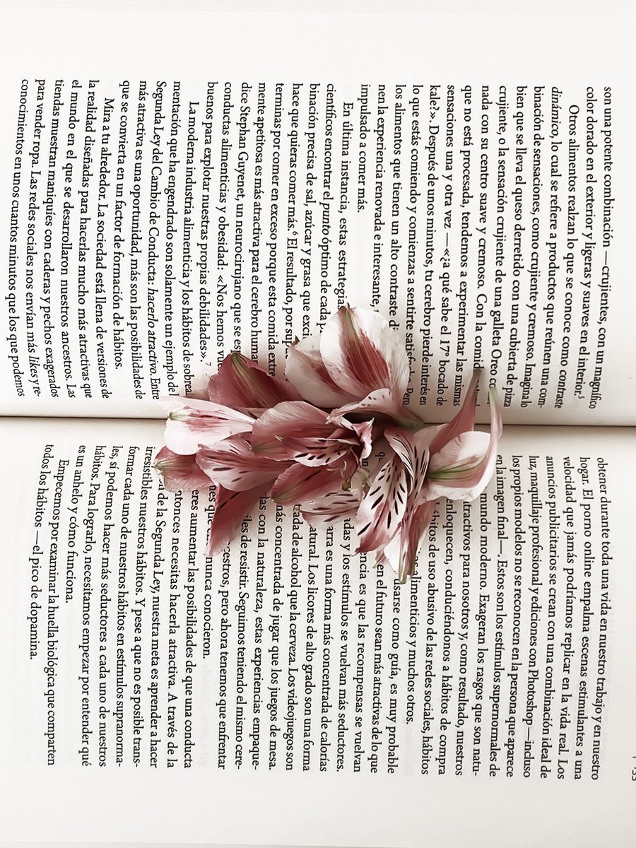 ETHREALIGHTS's tweet photo. ͏ ͏ ͏ ͏ ͏ ͏ 
pag 𖤓 ⋮ books and flowers.
hecha de buenos momentos.
 ͏ ͏ ͏ ͏ ͏ https://t.co/GbFgfIrYlH