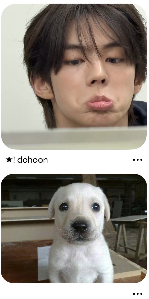 ayshotchu's tweet photo. i love it so much https://t.co/hHRk9YPMmZ