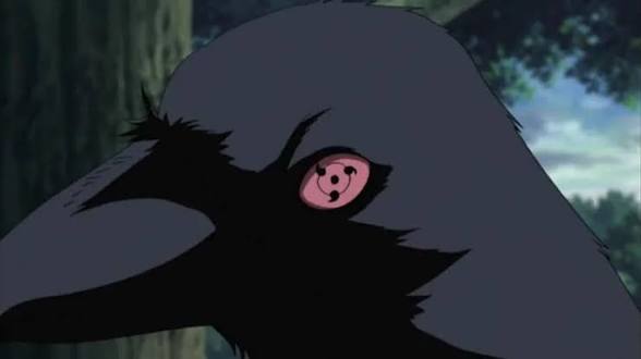 Lyoid_17's tweet photo. @AMAZlNGNATURE Eyo i've seen that guy before. https://t.co/hEeVhnysaf