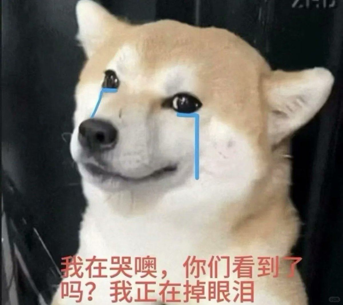 po22338's tweet photo. 开学心情 https://t.co/BzP093iibP