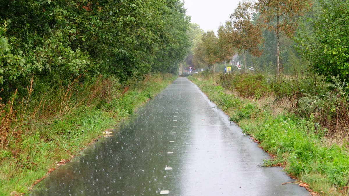 BuienradarBE's tweet photo. Vandaag passeerden er enkele hevige regenbuien, lokaal viel er meer dan 20 of 25 mm neerslag. Een ironische afsluiter van één van de heetste en droogste zomers ooit. Foto: Ben Saanen

Volg de buien op onze website of app! https://t.co/J9KSG5EDZ0