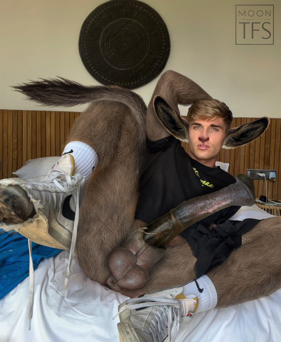 TfsMoon's tweet photo. He stretched out across the bed, expecting nothing more than a lazy afternoon. But something strange began to happen. Fur spread across his skin, his ears shifted into donkey ears, and his cock grew into inhuman sizes...

Commissions in DMs!
#DonkeyTF #Transformation https://t.co/0iZa3E7d8C