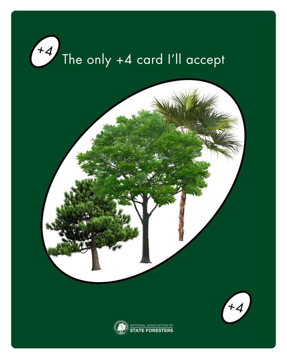 StateForesters's tweet photo. Four more, please! 😌 State forestry agencies grow millions of trees every year, but they don't make a card to draw that many. https://t.co/HFCFhEHlcC