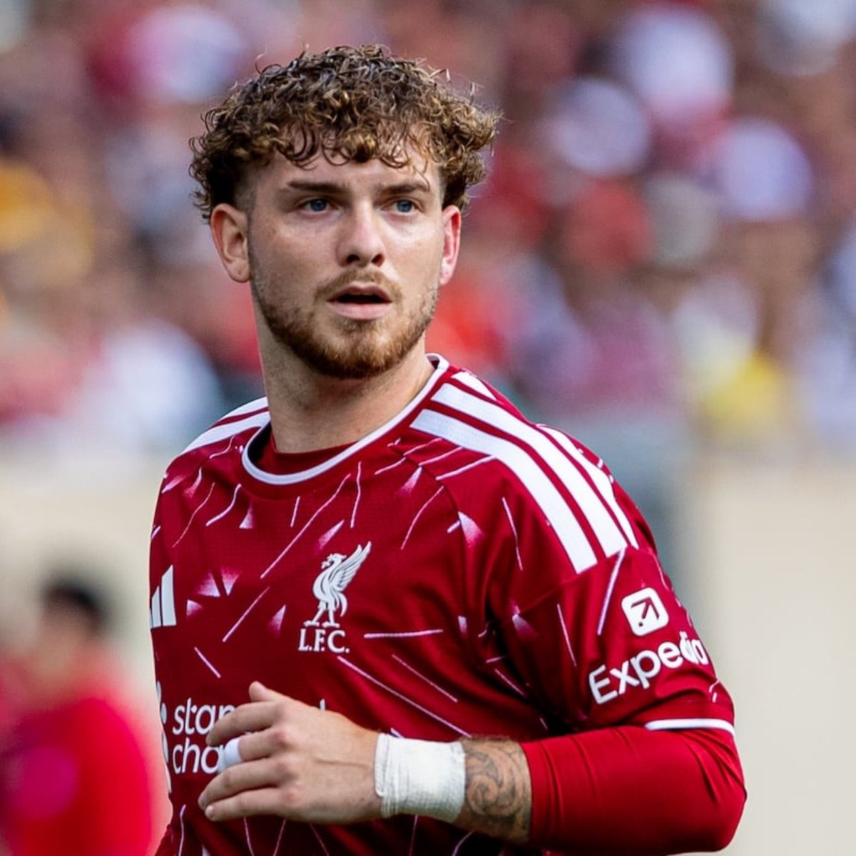 ParadxnDeTenas's tweet photo. 🚨🚨🚨 BOMBAZO 🚨🚨🚨

😱 Se conoce que Harvey Elliott, en las últimas horas, le ha SUPLICADO entre lágrimas al Liverpool que no lo mande al Valencia. 

👉 El club inglés le ha comunicado que, si no quiere ir al Valencia, la otra opción es mandarlo a la Franja de Gaza.

✅ El jugador ya tiene un acuerdo con el gobierno israelí y se incorporará a la Franja de Gaza en los próximos días.