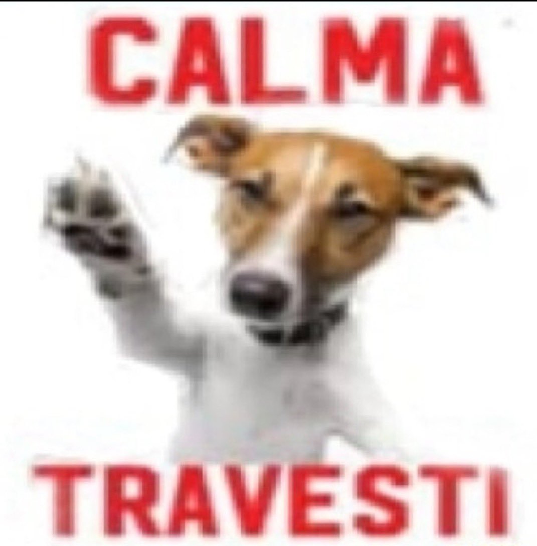 velverso's tweet photo. Acho q to de tpm trans https://t.co/e3KDy2r7Ua