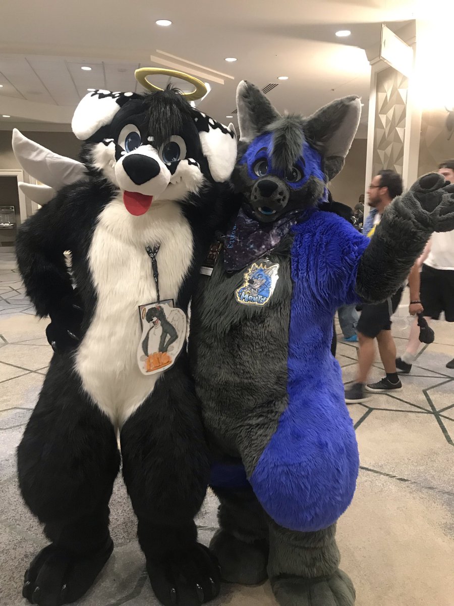 Lil_Wusky's tweet photo. One of my favorite suiter types 😩💙 tag em if ya know em! @MoreFurLess https://t.co/xAKKYcJd6X