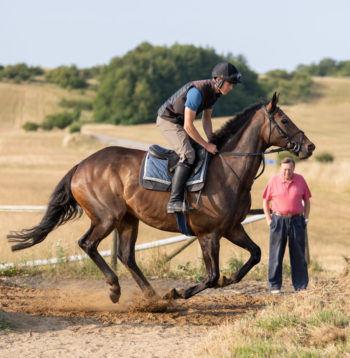 RacingPost's tweet photo. Constitution Hill is "not going to go out and beat Group 1 horses," according to Nicky Henderson:

🗣️ "This will tell us everything and I've just got to get this run in. 

"He's been ready to run for a fortnight. We had our eye on Windsor, but this was the back-up. The sooner we get this over with the better, and by this time next week we'll know exactly where we're going and can start to make sensible plans rather than running in a race he can't win. He's not going to go out and beat Group 1 horses, that's for sure."