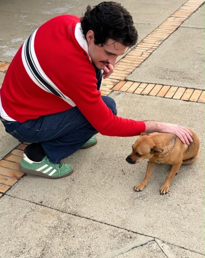 jaoquiteto's tweet photo. juro https://t.co/rMOLciZ9RB