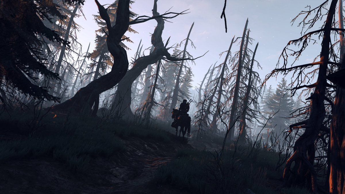 discophotomode's tweet photo. The Witcher 3: Wild Hunt https://t.co/XBk0mR8nvk