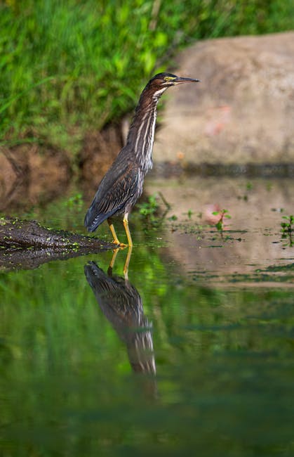 transean0175's tweet photo. Benjamin James Sebastian Unexpected become the Aurora moments best stories joycelyn greenfelder🔰 https://t.co/8RuiRbUHQT