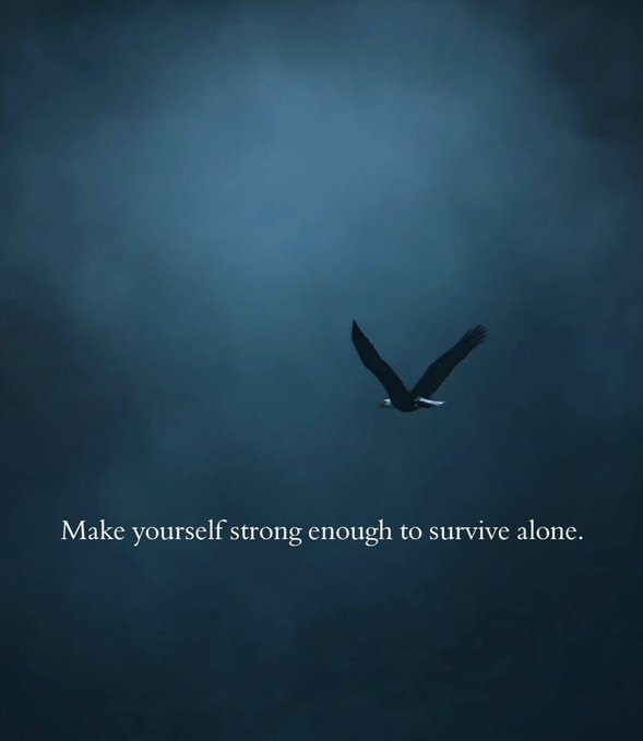 bhatzain999's tweet photo. Survive alone https://t.co/Mj0aqDMnm2