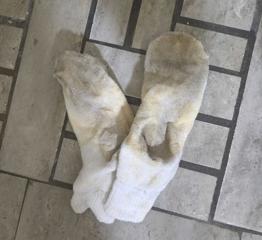MASTERUMED05's tweet photo. Go to sniff my dirty socks slaves
#master #sneakers #foot #slave #bdsm #youngmaster #lick #sniff #sahip #köle #socks #stinky #ayakfetiş https://t.co/8vgS6PyYEZ