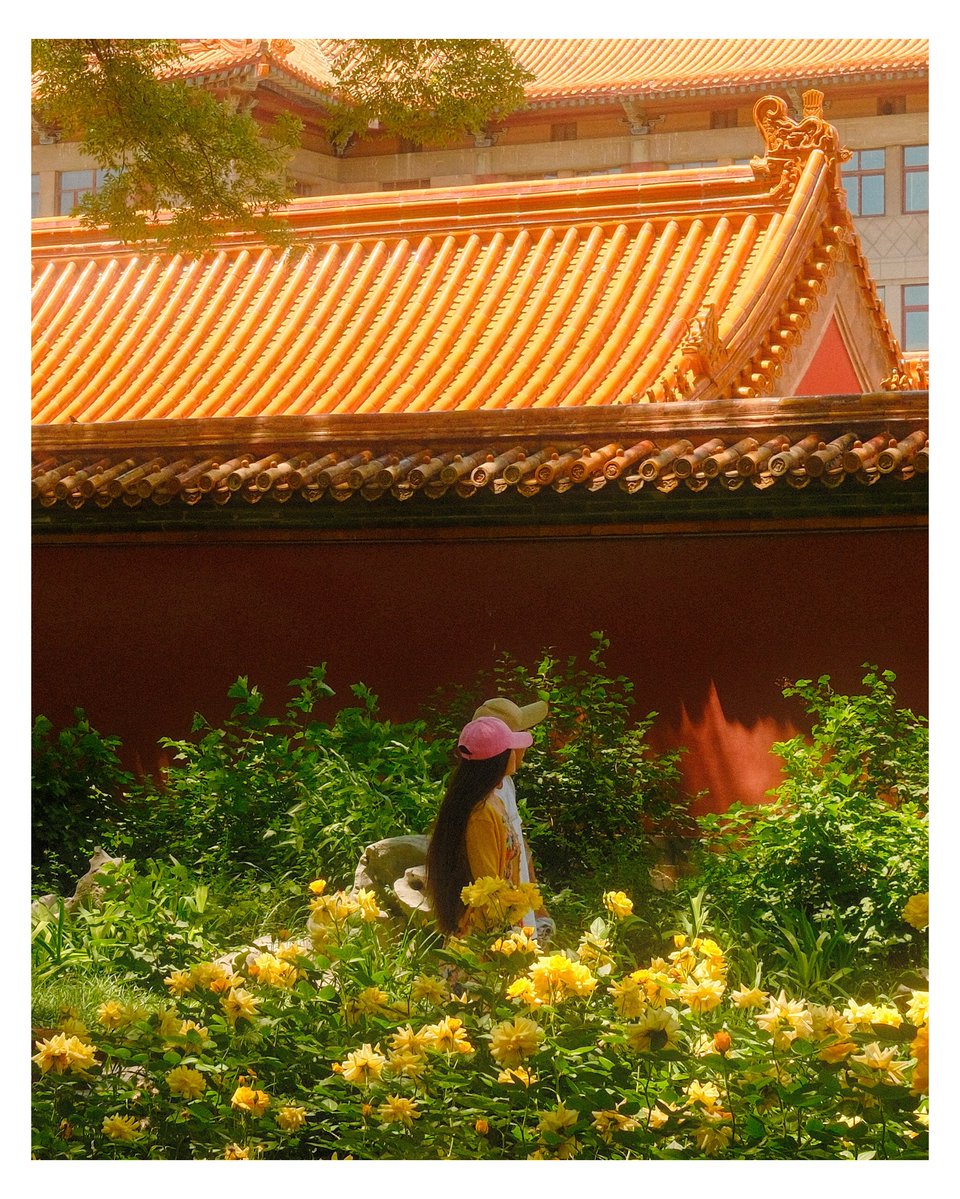 lcflcks's tweet photo. Nếu phải chọn một mùi hương cho những ngày muốn "chiều bản thân", nhất định nên chọn Olay Luminous Hương Hoa Hồng. https://t.co/zX4z6LSEau