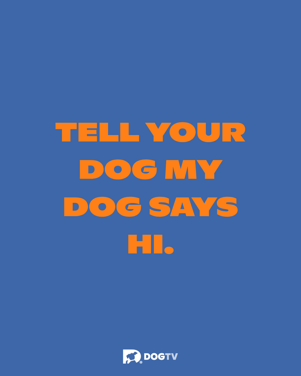 dogtv's tweet photo. Add a sniff and a tail wag while we're at it! 🐾 🧡 

#DogPeople #DogMom #DogDad #DOGTV https://t.co/m44Hp7vc9F