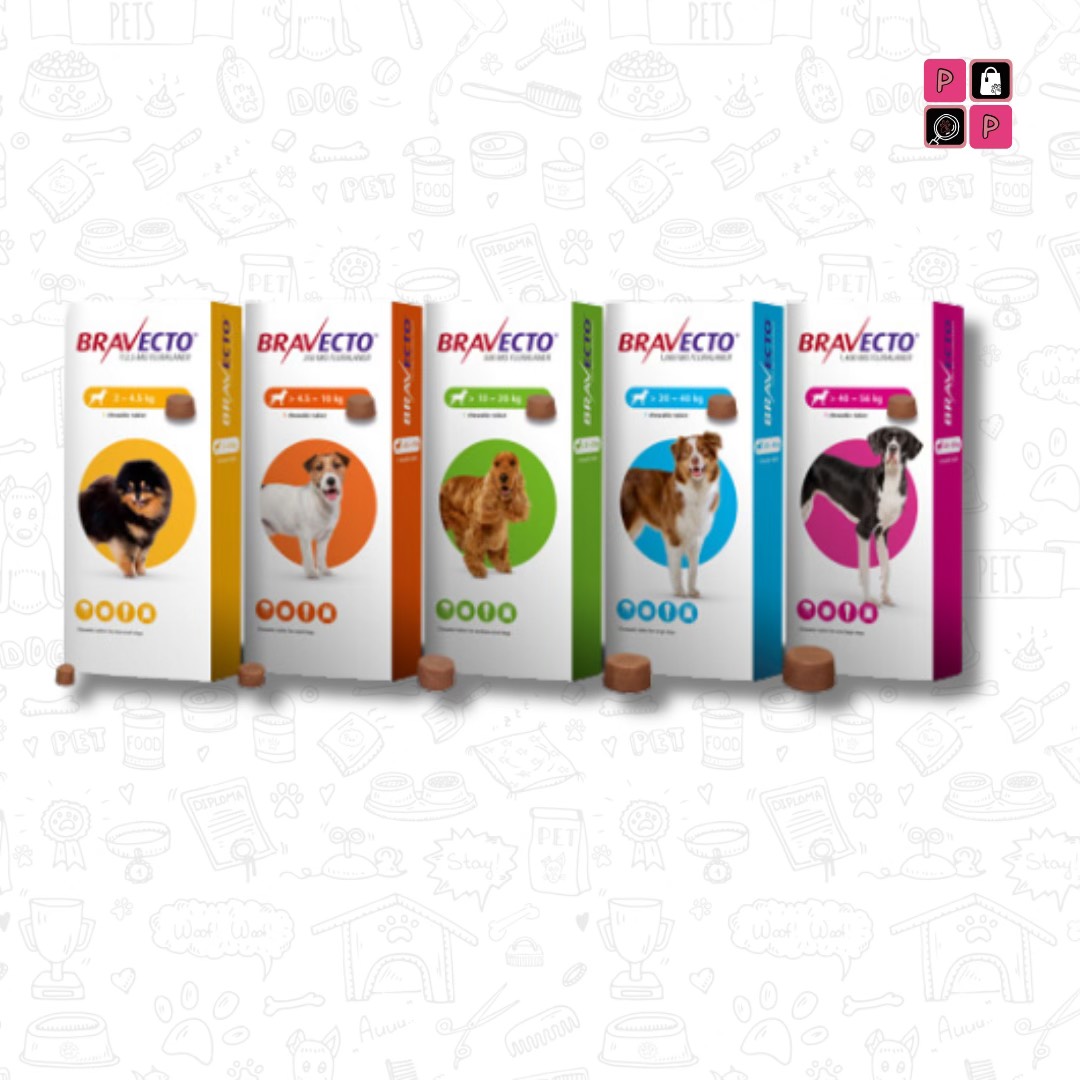 puppypowergh's tweet photo. Simple &amp; catchy

Keep your dog protected and worry-free!
Bravecto provides long-lasting protection against fleas and ticks, with different options available based on your dog’s weight. https://t.co/F6dbqUAKuA