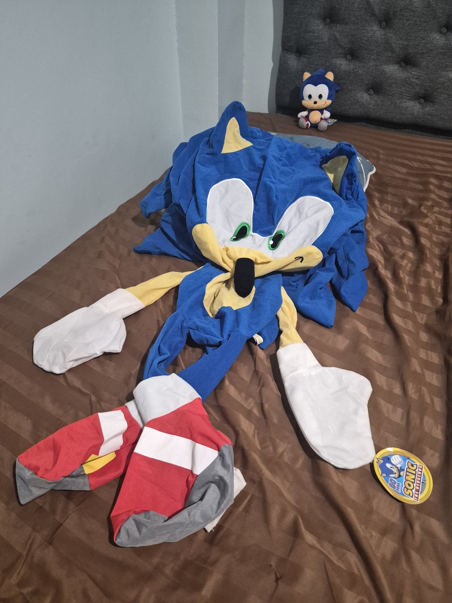 nv_lessus's tweet photo. my giant sonic plush just came ✨️

can't wait to... fill him up https://t.co/hEyUM1B6Sy