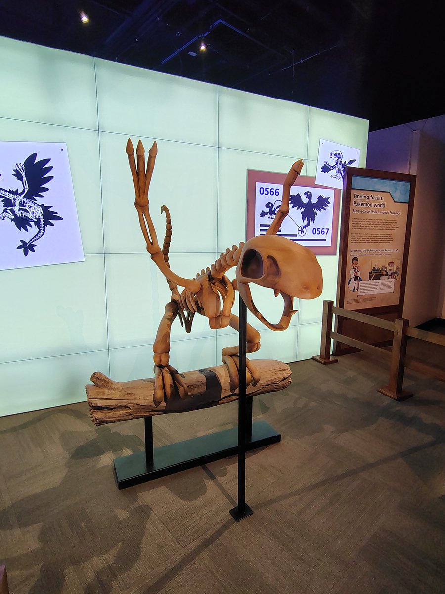 ShamanicW0lf's tweet photo. Today I had the privilege and honor of walking the Pokemon Fossil Museum at the Field Museum in Chicago! For those of you excited for this exhibit in the US, here's a sneak peek! #pokemon #fieldmuseum #dinosaurs https://t.co/EKoVyLZyEn