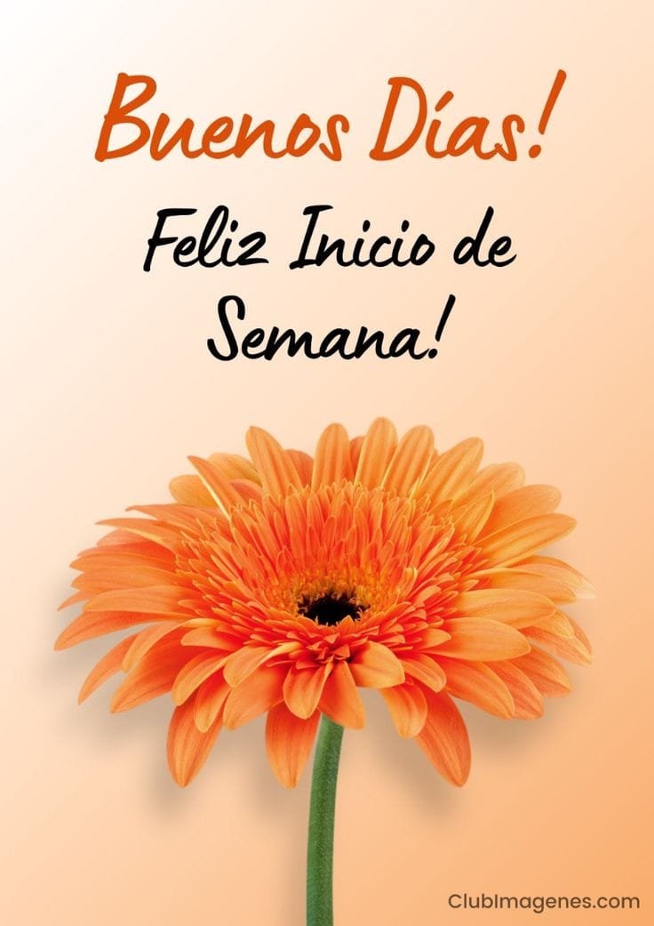 msorteoficial tweet picture