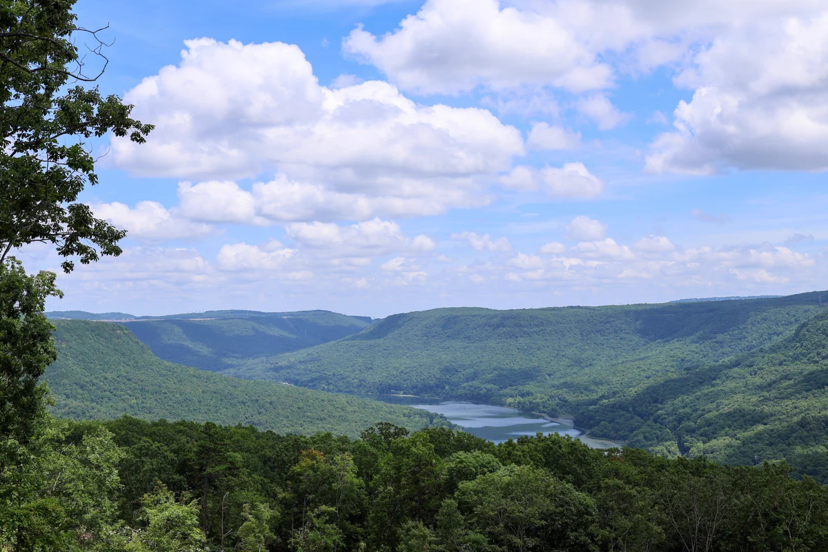 River Gorge Ranch on X: 