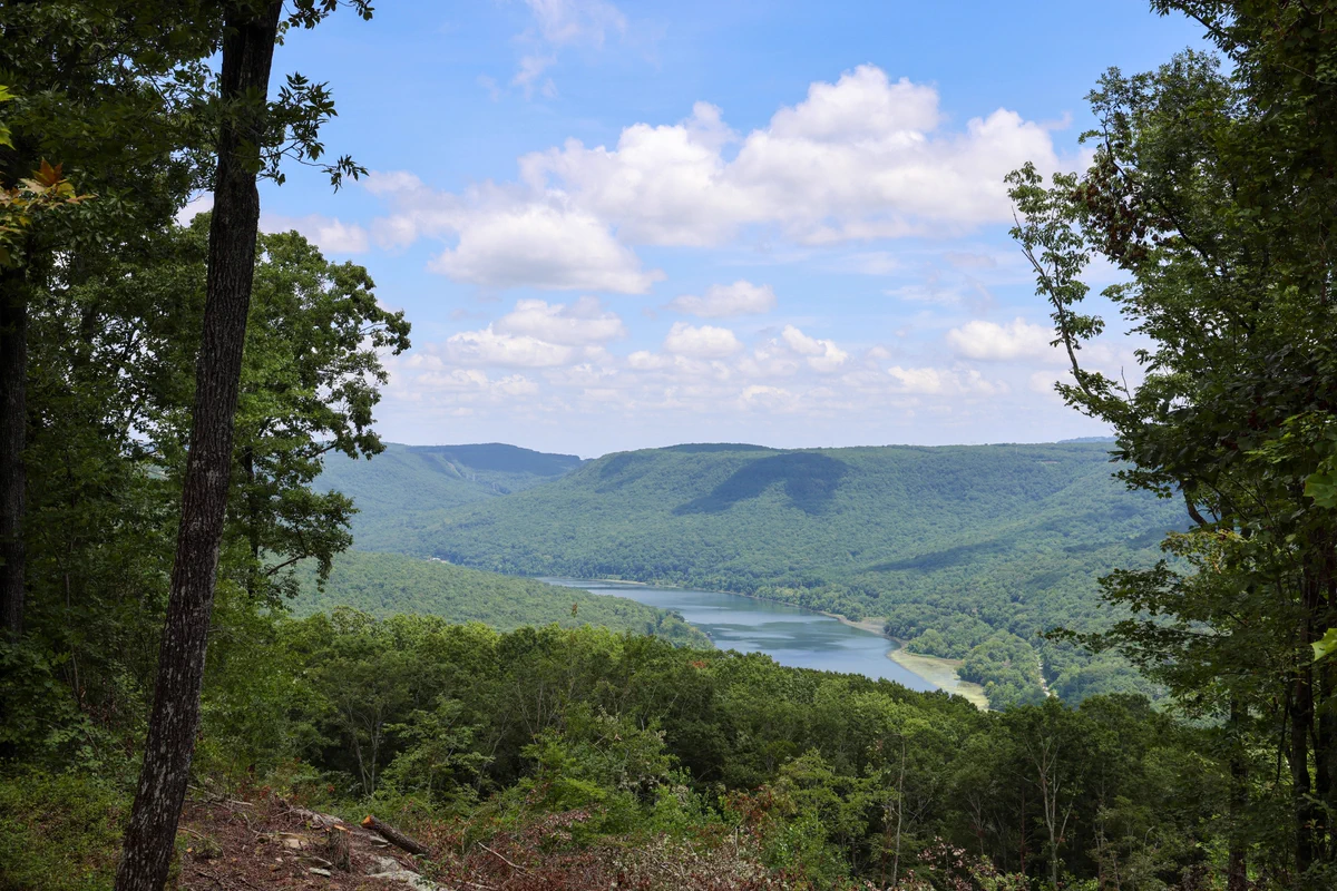 River Gorge Ranch on X: 